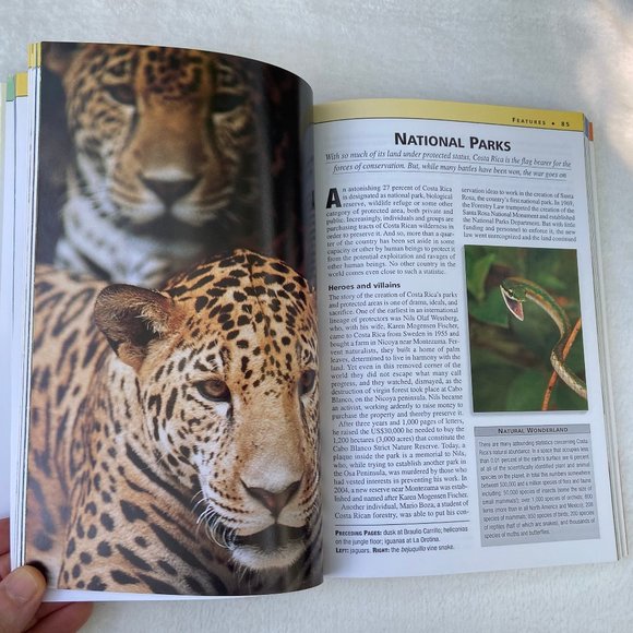 Insight Guides - Costa Rica Guidebook Travel Book - Picture 8 of 14